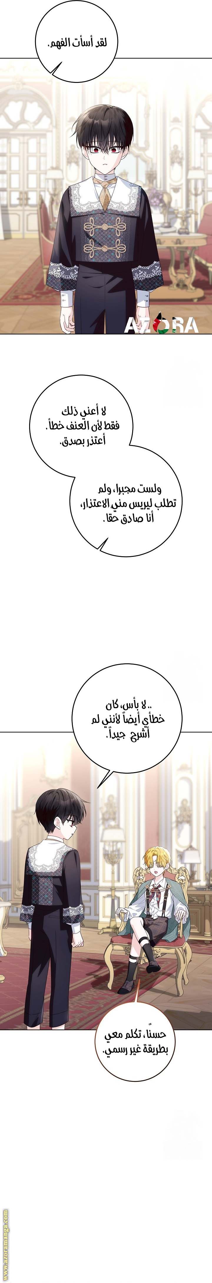 الصفحة 17
