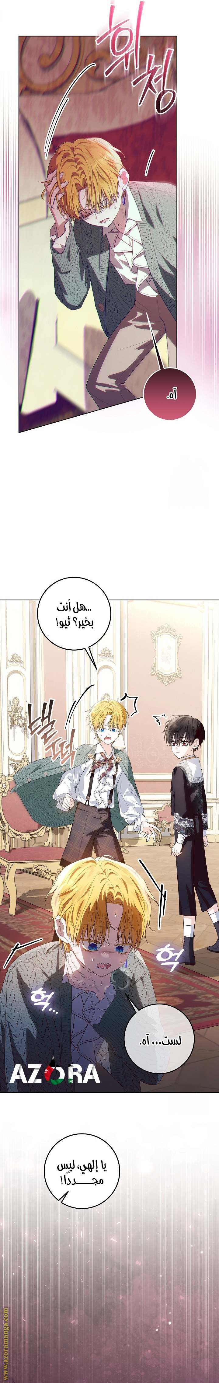 الصفحة 24