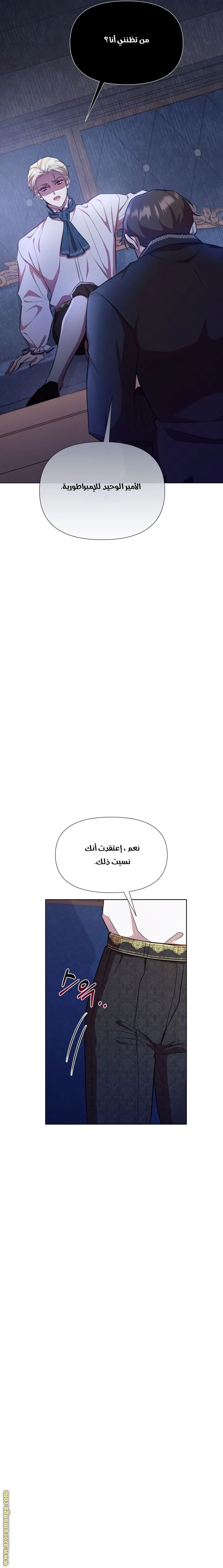 الصفحة 17