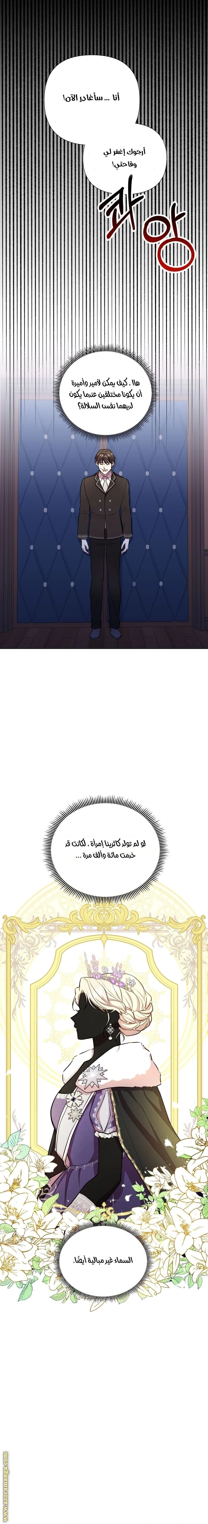الصفحة 19