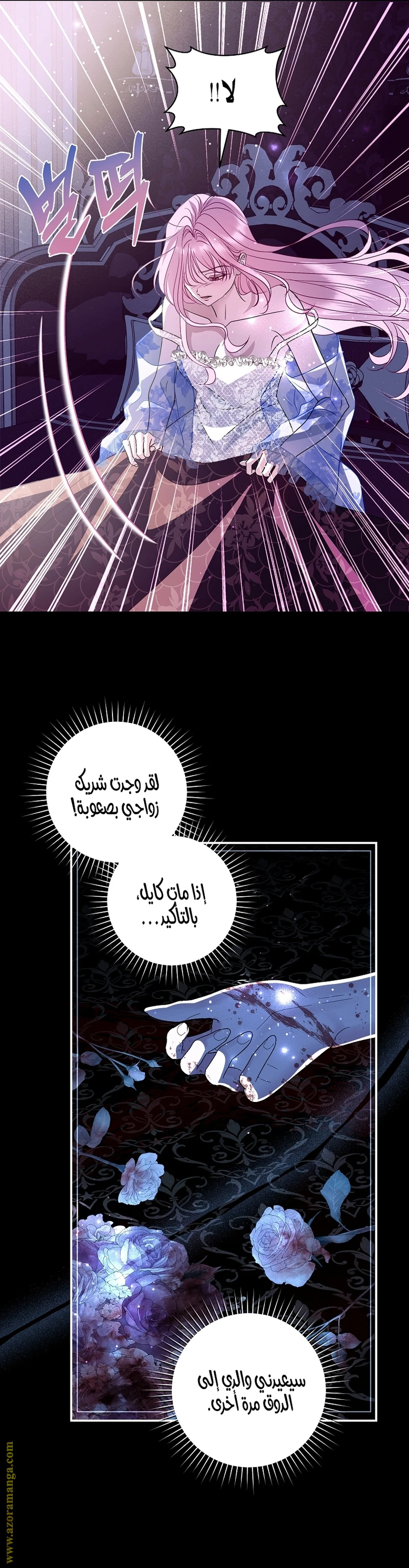 الصفحة 3