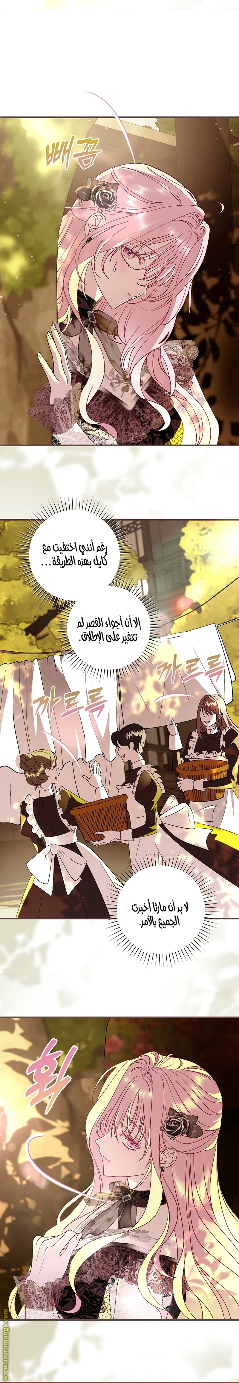 الصفحة 13