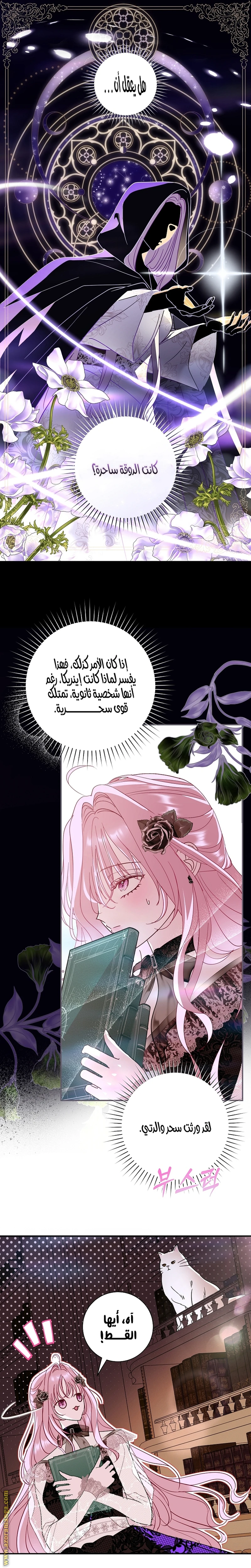 الصفحة 20