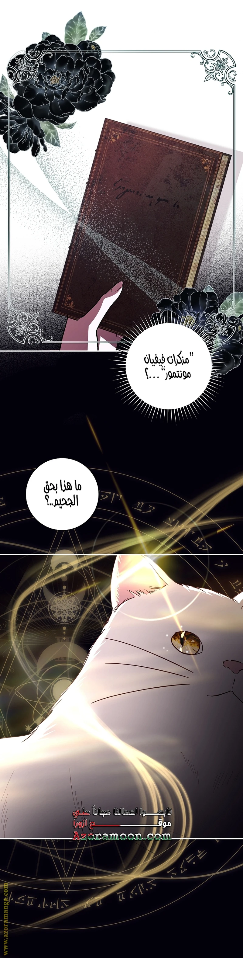 الصفحة 22