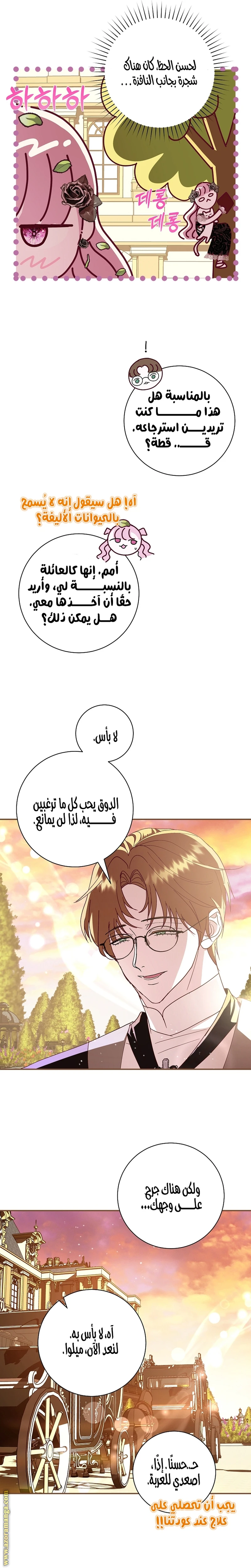 الصفحة 26