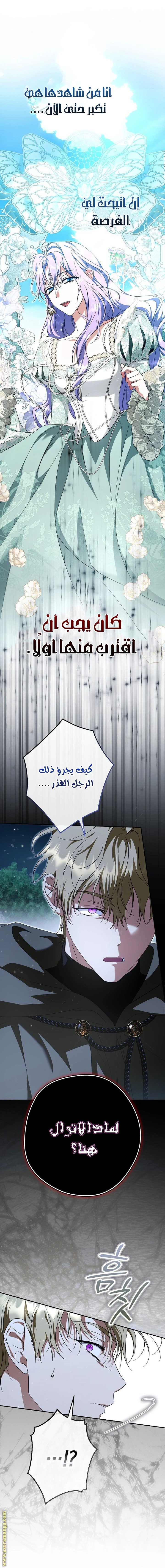 الصفحة 13