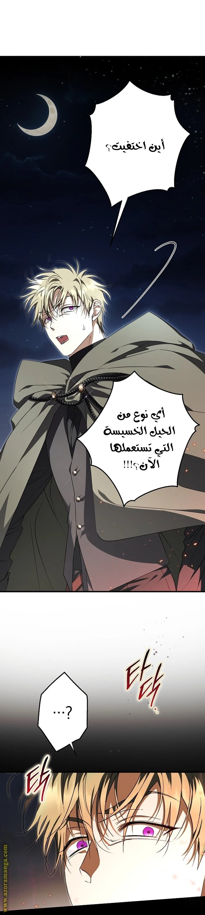 الصفحة 17