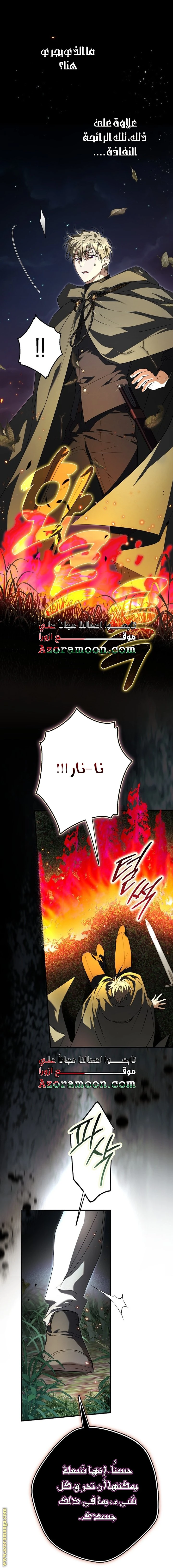 الصفحة 18