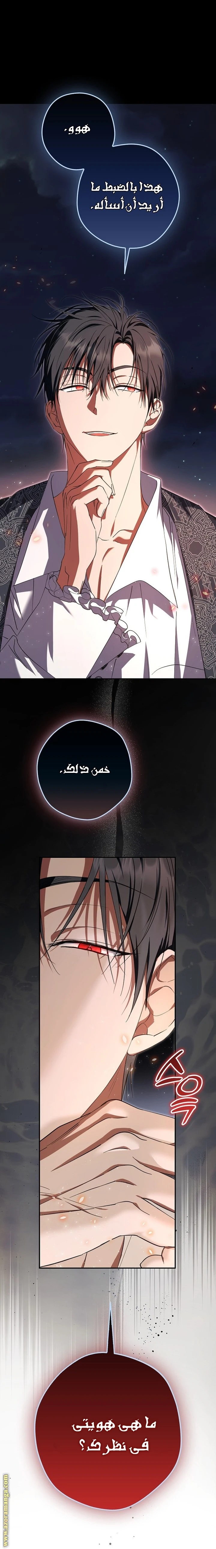 الصفحة 21