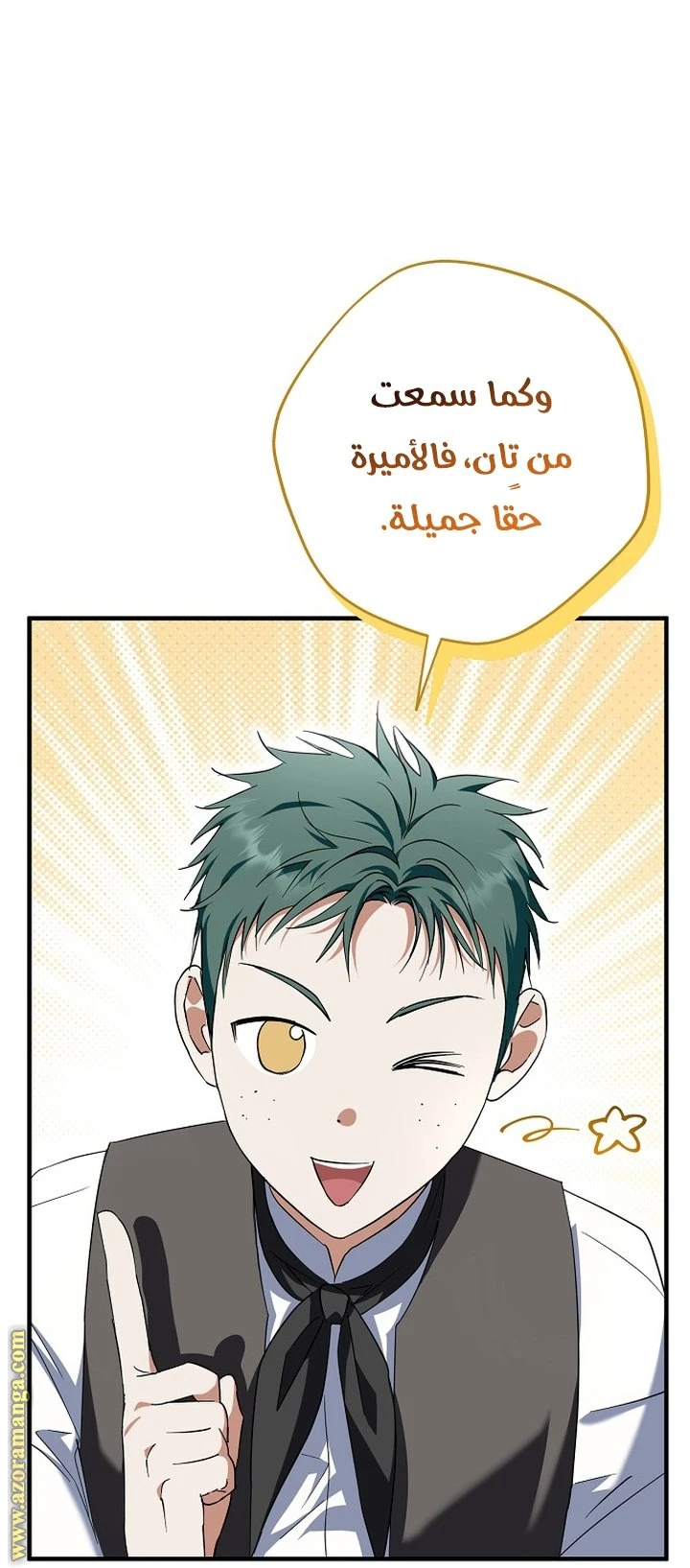 الصفحة 26