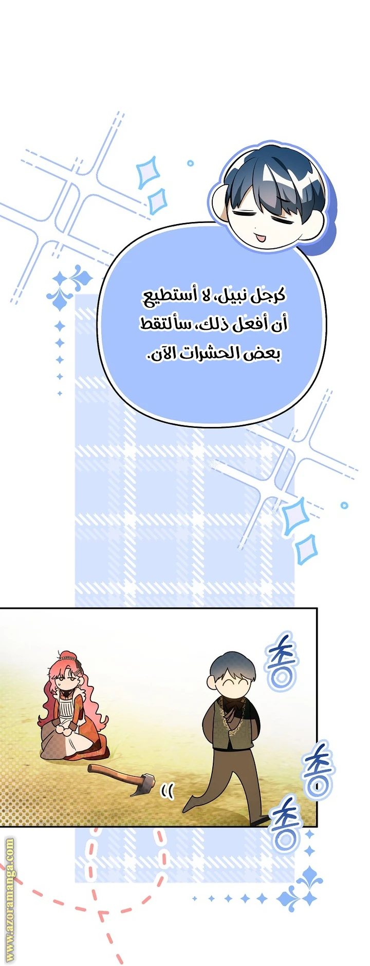 الصفحة 13