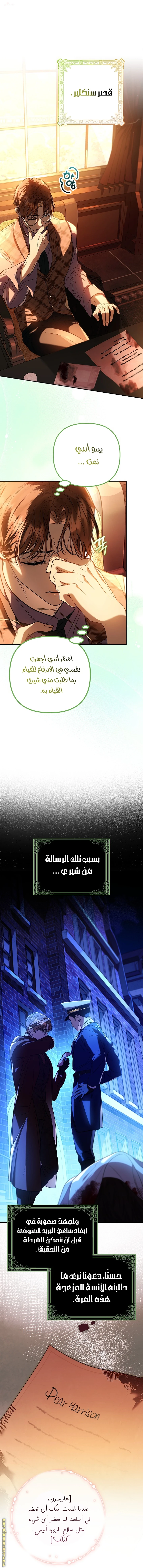 الصفحة 17