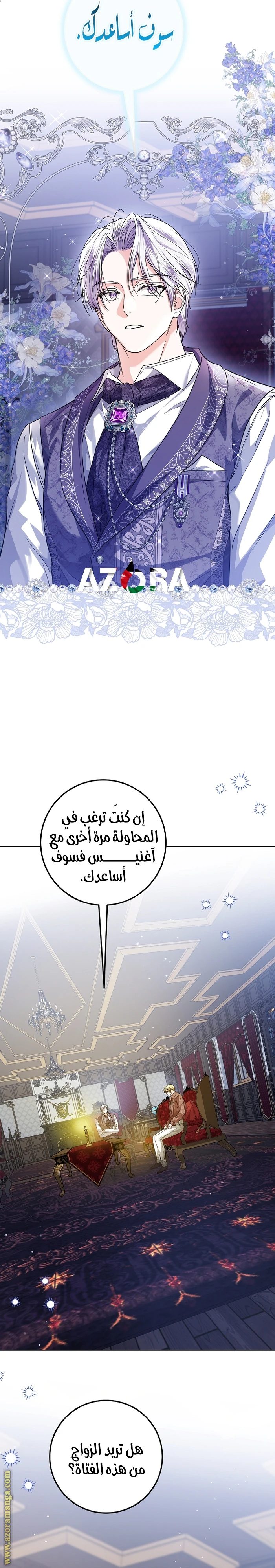الصفحة 17
