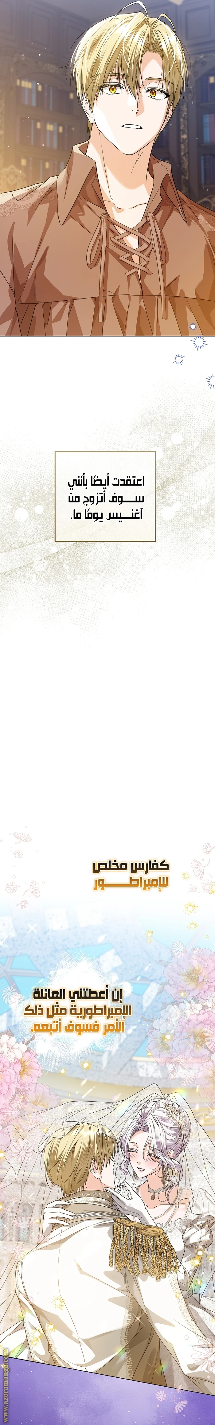 الصفحة 18