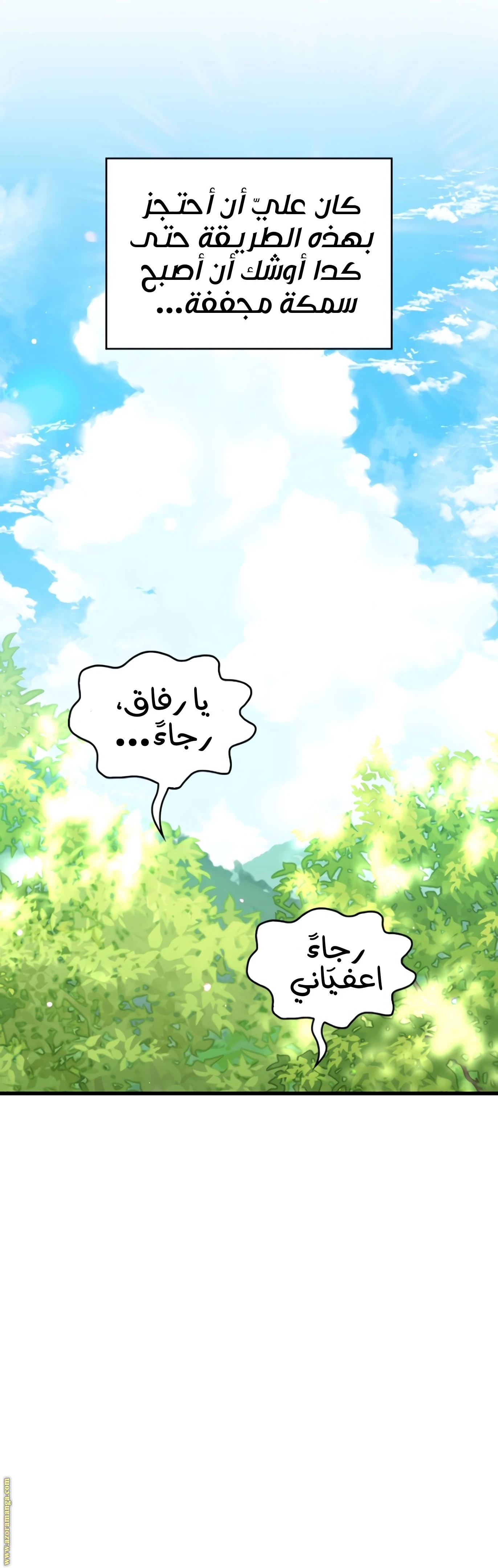 الصفحة 11