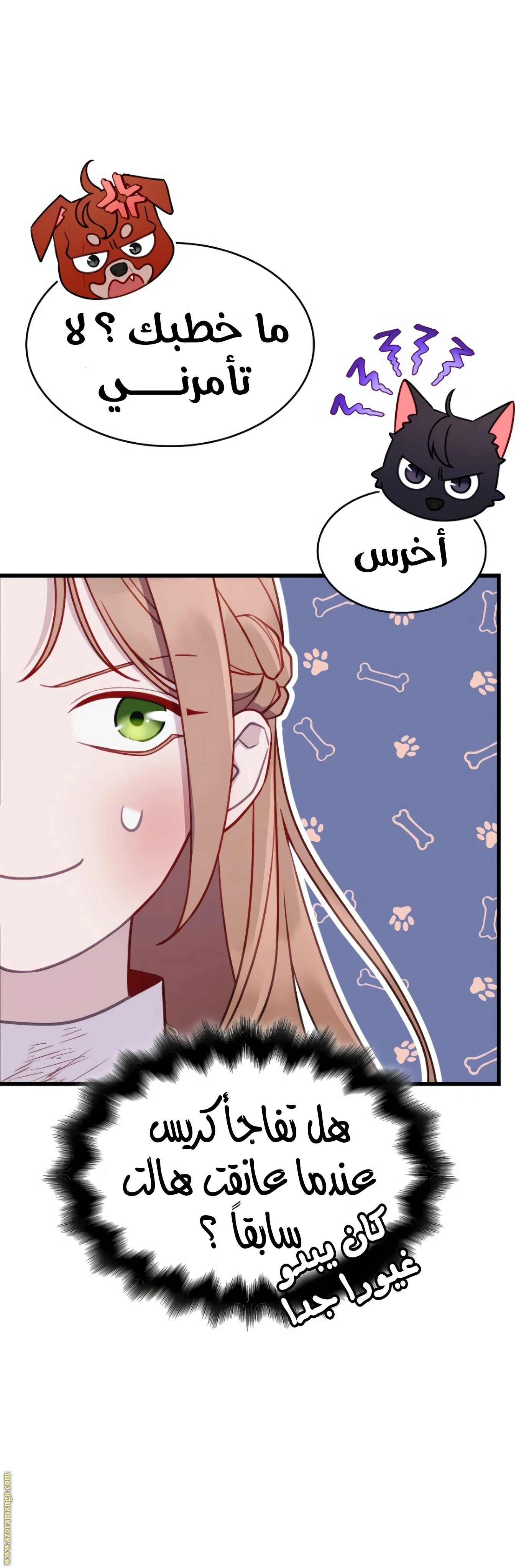 الصفحة 23