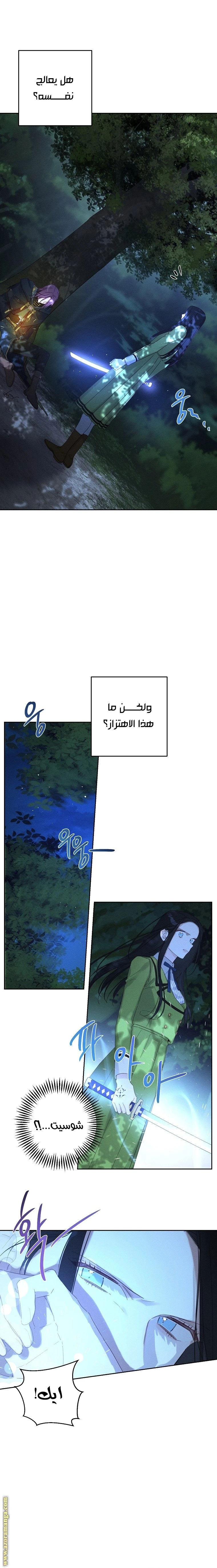 الصفحة 11