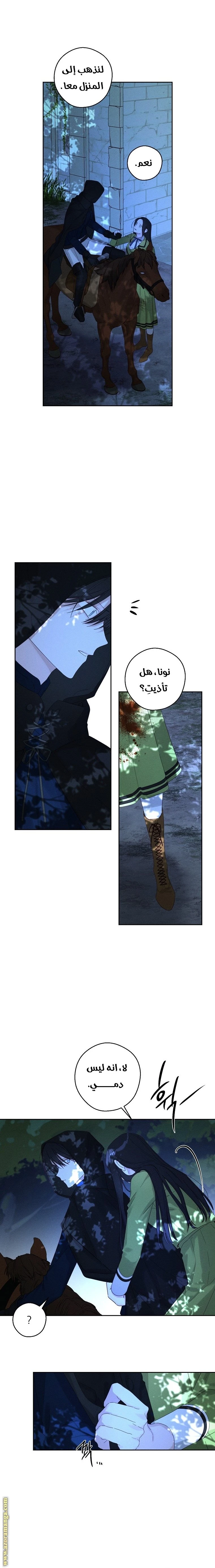 الصفحة 17