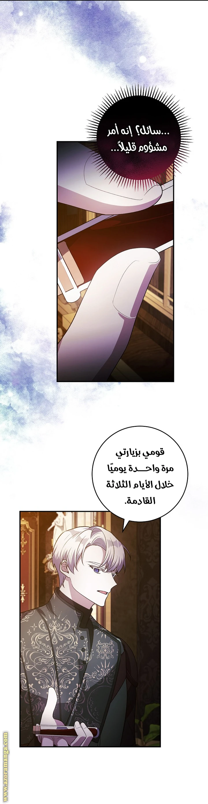 الصفحة 12
