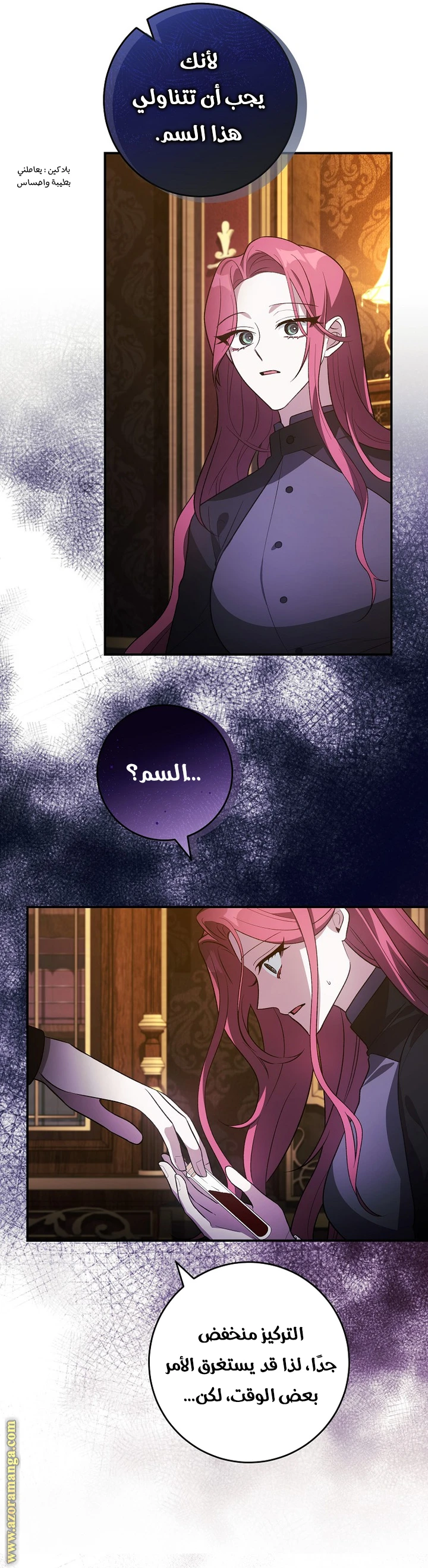 الصفحة 13
