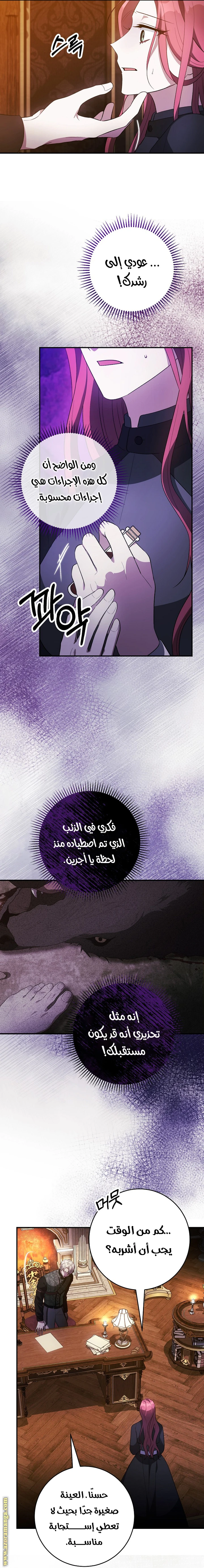 الصفحة 17