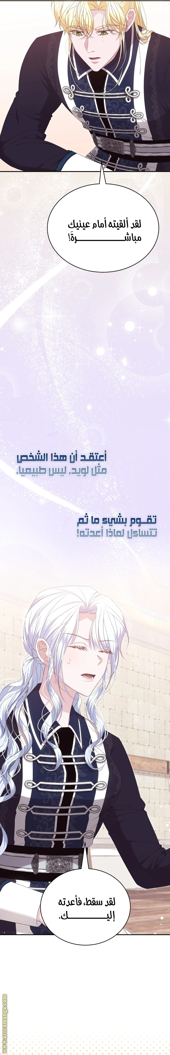 الصفحة 13