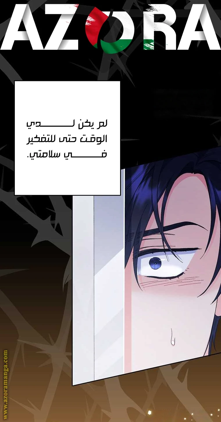 الصفحة 45