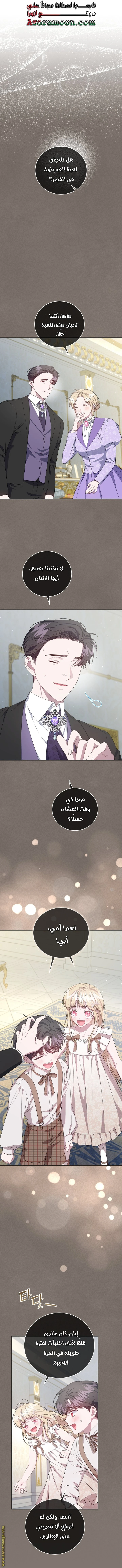 الصفحة 17