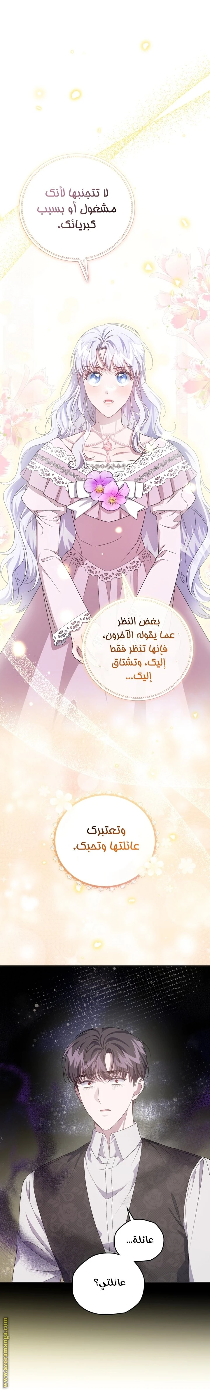 الصفحة 26