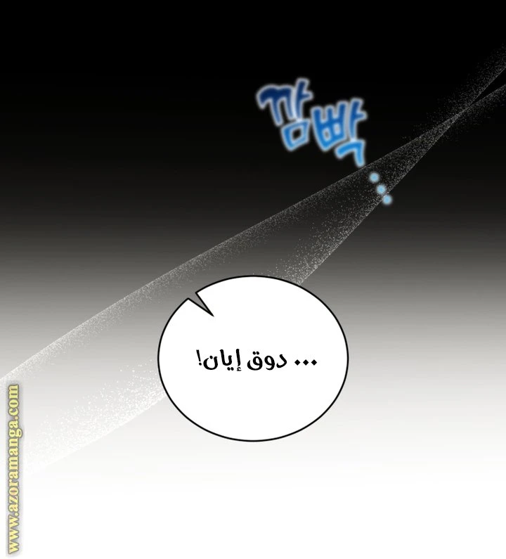 الصفحة 31