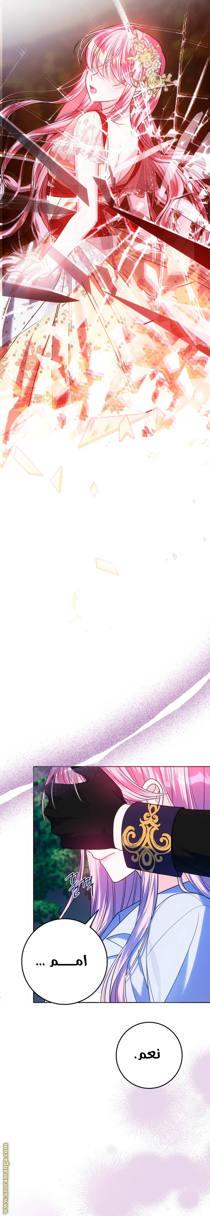 الصفحة 16