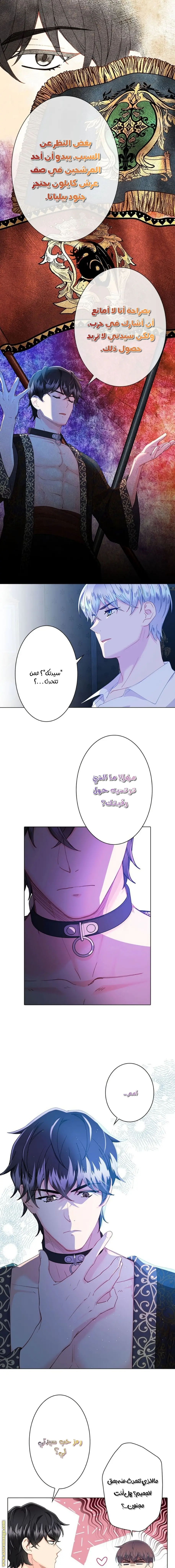 الصفحة 10