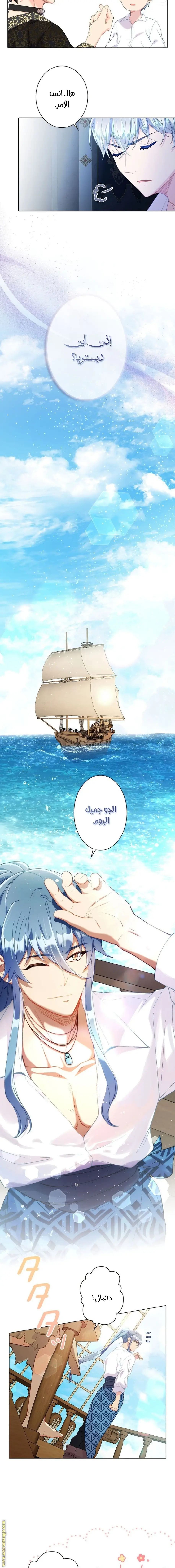 الصفحة 11