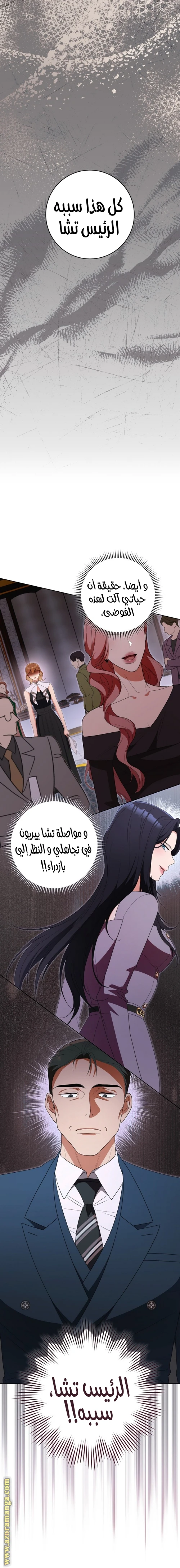الصفحة 17