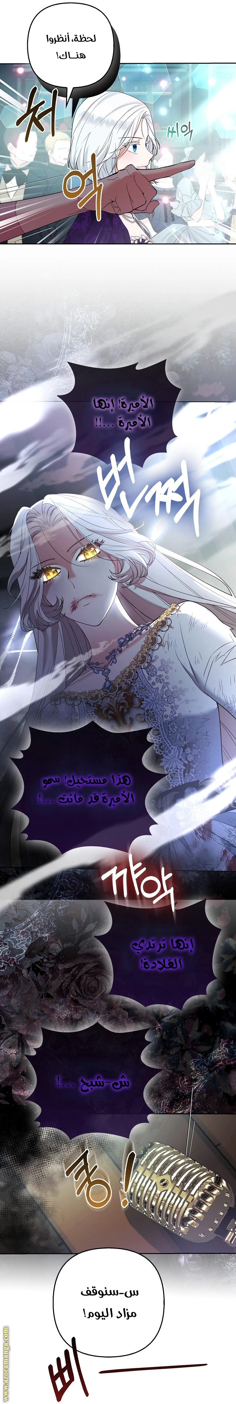 الصفحة 12