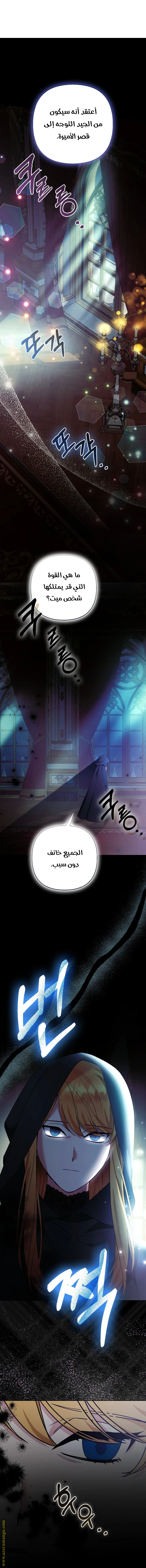 الصفحة 25
