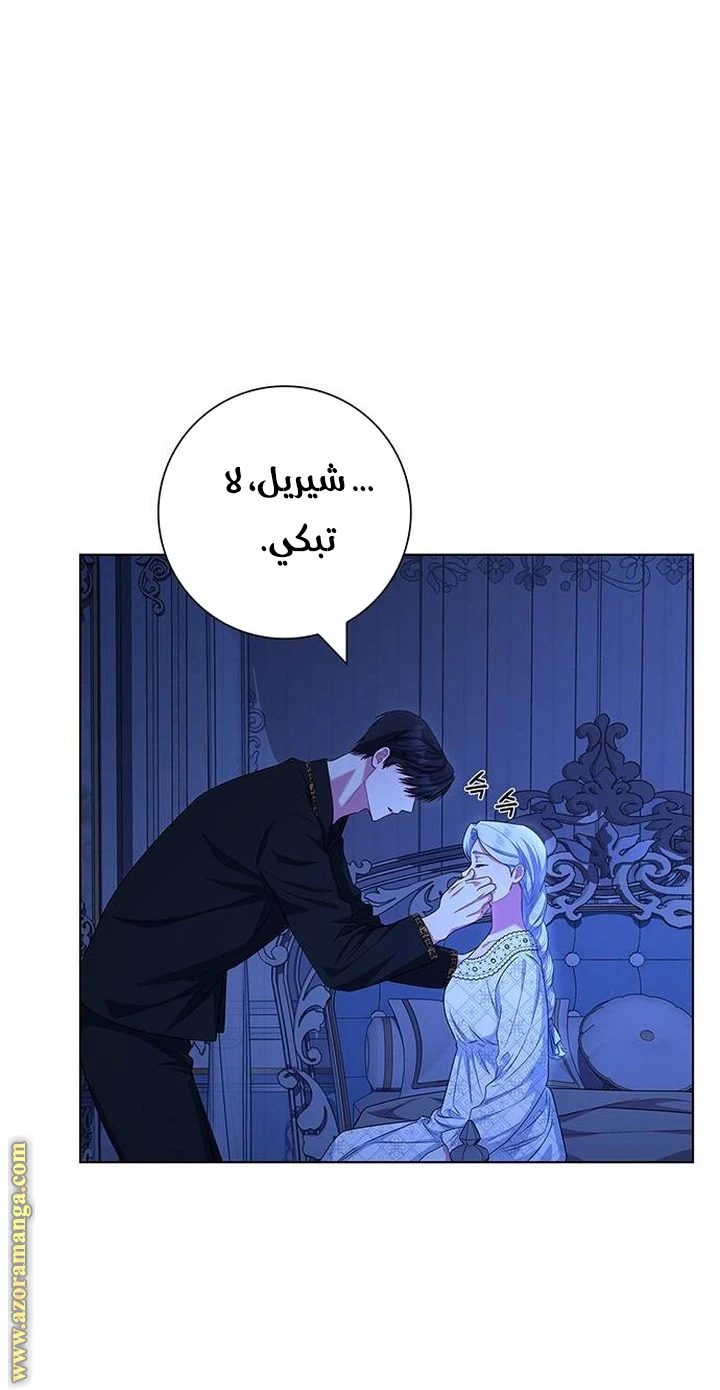 الصفحة 48