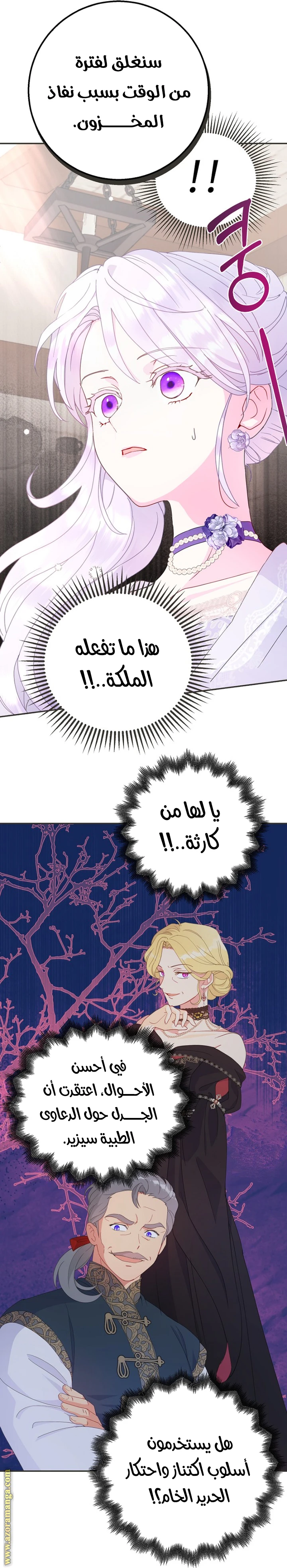 الصفحة 14
