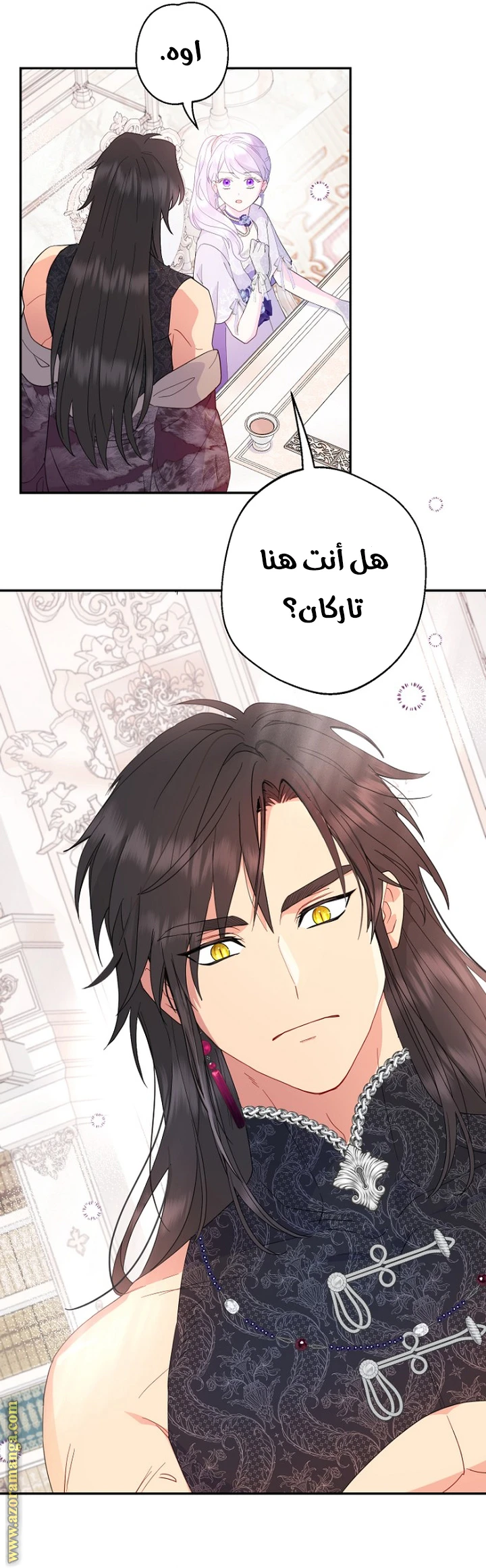 الصفحة 27