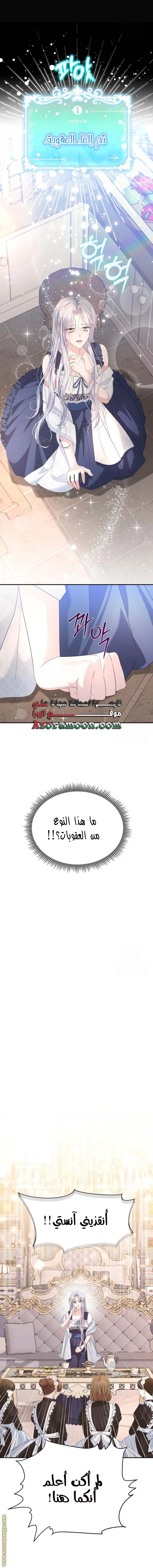 الصفحة 16