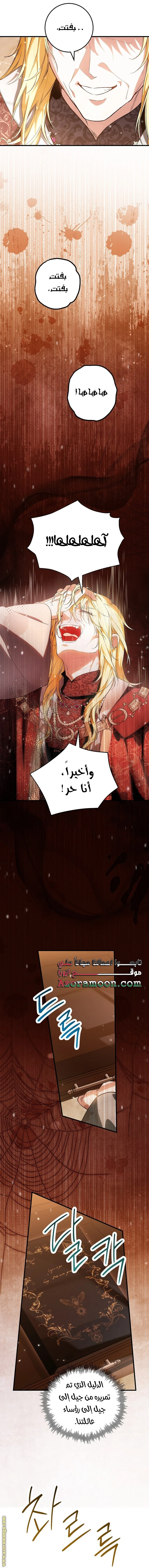 الصفحة 26
