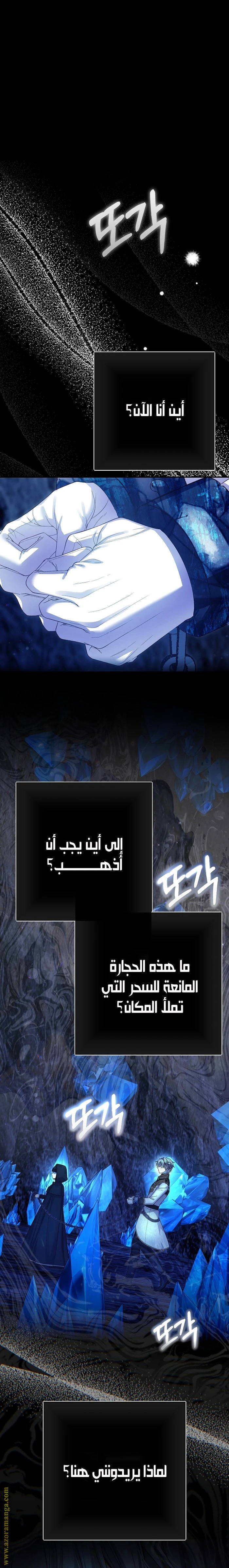 الصفحة 11