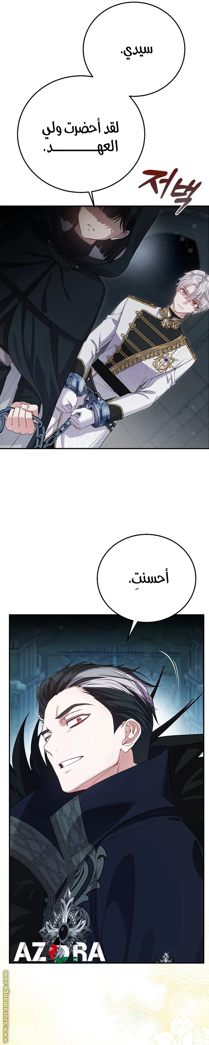 الصفحة 13