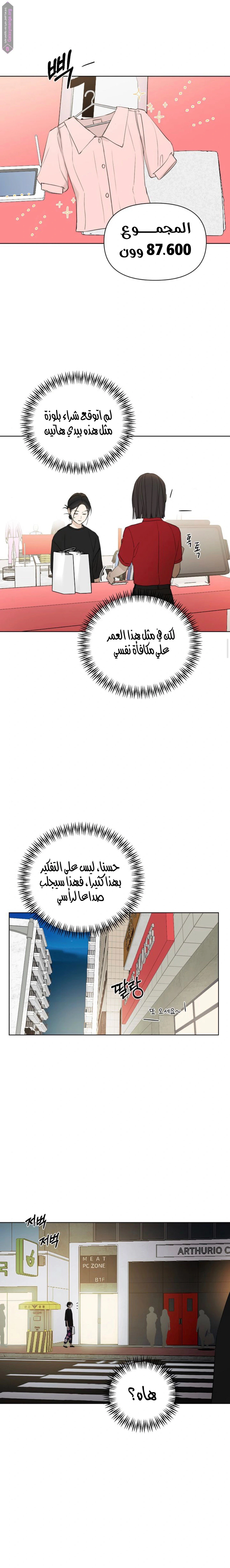 الصفحة 13