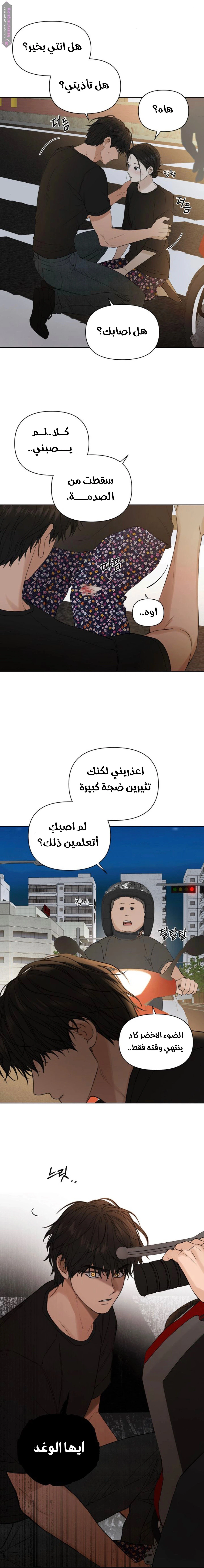 الصفحة 17