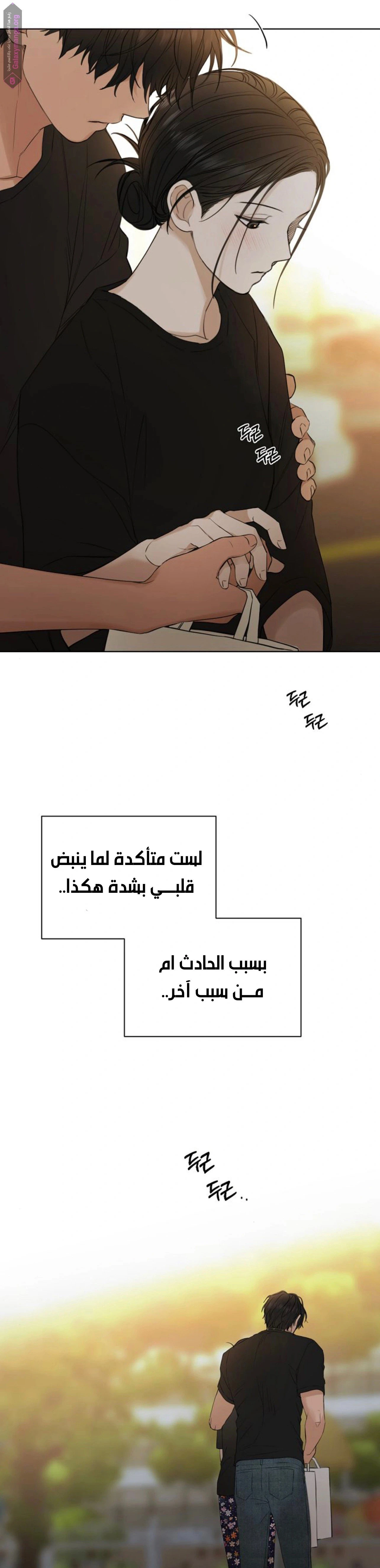 الصفحة 19