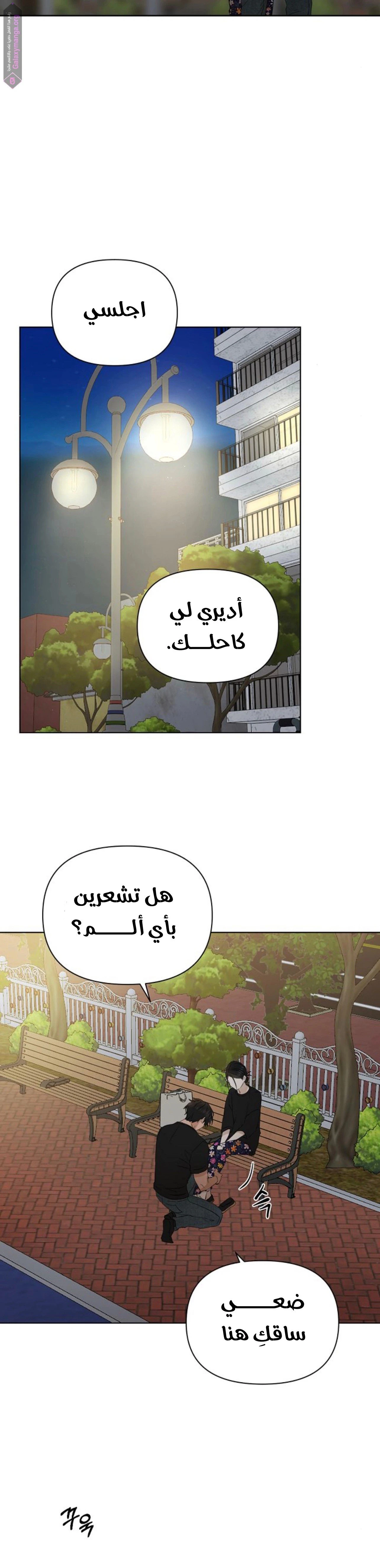 الصفحة 20