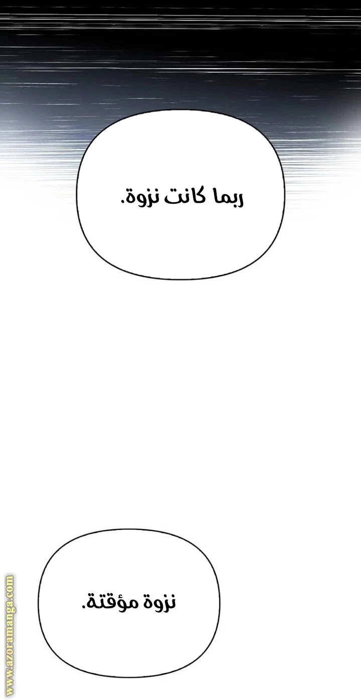 الصفحة 43