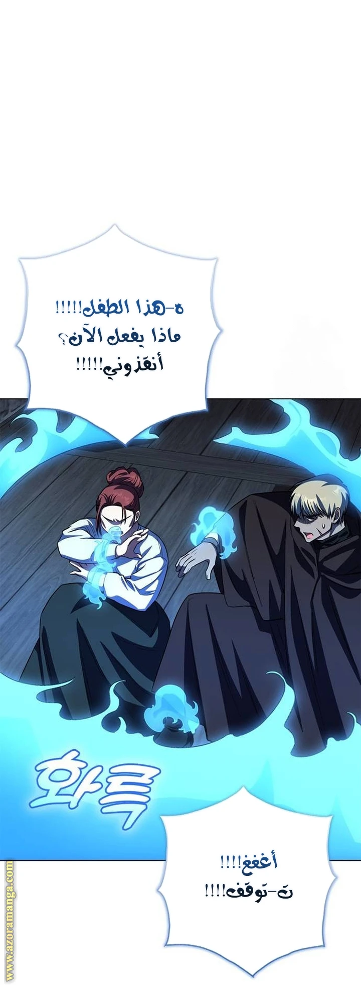 الصفحة 17