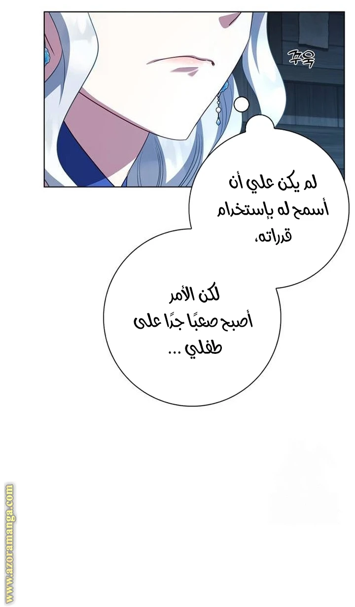الصفحة 27